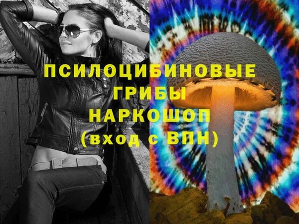 стафф Осинники