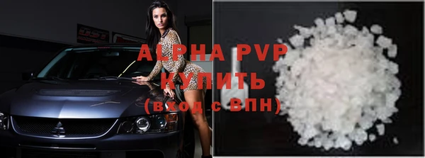 стафф Осинники