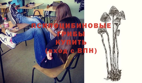 стафф Осинники
