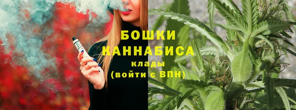 стафф Осинники