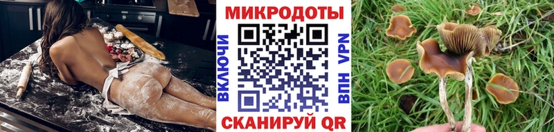 Псилоцибиновые грибы ЛСД  MEGA как войти  Сальск 